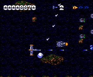 W-Ring - The Double Rings